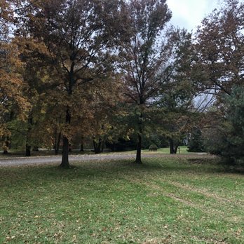 Brown’s Lawn Care - trees and a road - Lawn Services Near Me Brown’s Lawn Care - trees and a road - Lawn Services Near Me