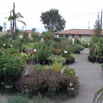 Walter Andersen Nursery - Nurseries & Gardening Near Me - San Diego, California Walter Andersen Nursery - Nurseries & Gardening Near Me - San Diego, California