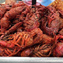 The Catch - Bait!!! I mean steamed crawfish! The seasoning was spot on.