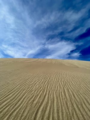 Furnace Creek Campground by null