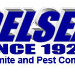Delsea Termite & Pest Control - Delsea Termite & Pests Control logo