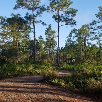 Seminole County-Econ River Wilderness Area - Parks Near Me - Oviedo, Florida Seminole County-Econ River Wilderness Area - Parks Near Me - Oviedo, Florida