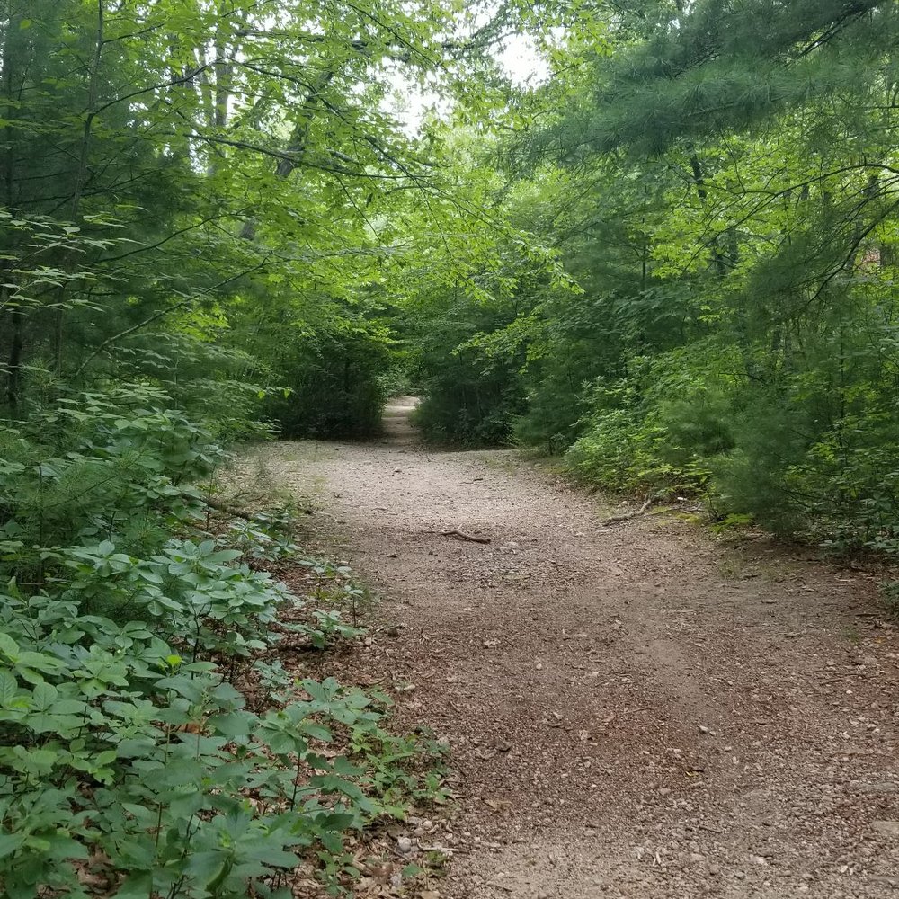 Big River Management Area - Carr's Pond loop trail - Hiking Near Me - West Greenwich, Rhode Island