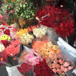 Roses