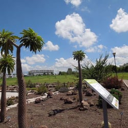 Jardín Botánico BUAP