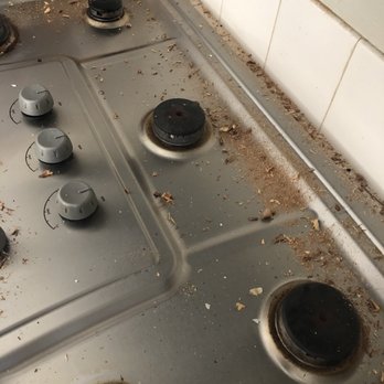 Action Appliance - Appliances & Repair Near Me - Temecula, California Action Appliance - Appliances & Repair Near Me - Temecula, California