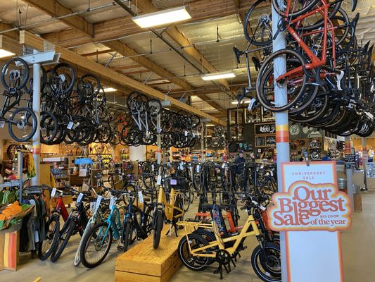 REI Bike Shop by null