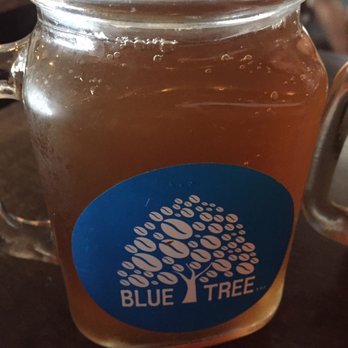 Bluetree Cafe - Honolulu - Standard kombucha - Coffee & Tea Near Me - Honolulu, Hawaii