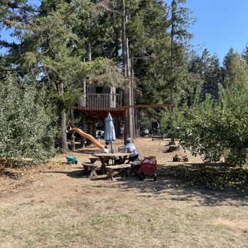 Bell's Orchard - play area which looked like a lot of fun for families - Fruits & Veggies Near Me - Beaverton, Oregon