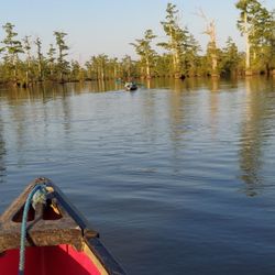 Cache Bayou Outfitters