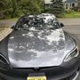 Photo of J Lavo Detailing