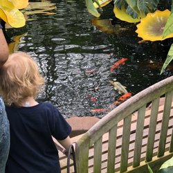 Little People Learning Center - Nature