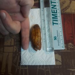 Tiny little chicken wing. Tiny little chicken wing.