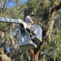 Lawn Rescue Services