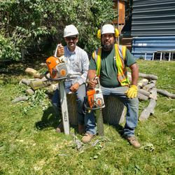 Sanchez Landscaping - Teamwork makes the dream work! Aftermath of tree and stump removal of lodgepole pines!