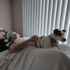Bazil Chiropractic Health Center gift card
