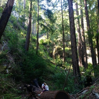 Ewoldsen Trail - Not a bad resting spot - Hiking Near Me - Big Sur, California