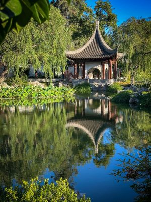 The Huntington Library, Art Museum, and Botanical Gardens by null
