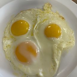 Eggs Eggs