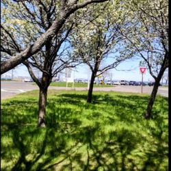 Eliot Circle - Elliott Circle  Revere Beach