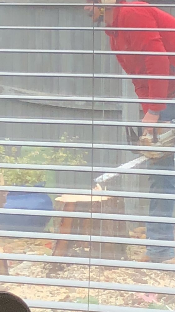 McDaniel and Sons Land Management - tree service in Springdale, AR