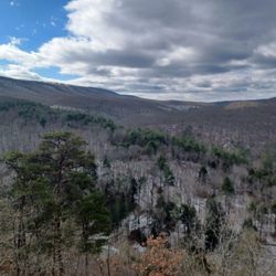 Green Ridge State Forest