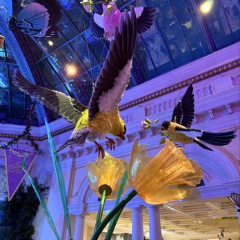 Bellagio - Hotels Near Me - Las Vegas, Nevada Bellagio - Hotels Near Me - Las Vegas, Nevada