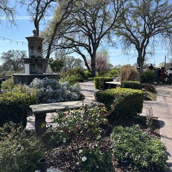 Rancho Roble Vineyards - Relaxing fountain - Wineries Near Me - Lincoln, California