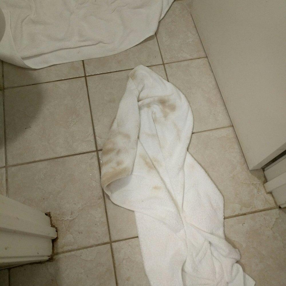 Super 8 by Wyndham Oxford - Bloody towel?!?! - Hotels Near Me - Oxford, Mississippi Super 8 by Wyndham Oxford - Bloody towel?!?! - Hotels Near Me - Oxford, Mississippi