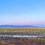 Photo of West Bluff Park