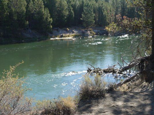 LaPine State Park by null