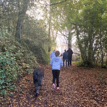 Ashford Castle - The walk with the dogs was fun - Hotels Near Me - Cong, Missouri