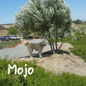 Miramonte Winery - Wineries Near Me - Temecula, California
