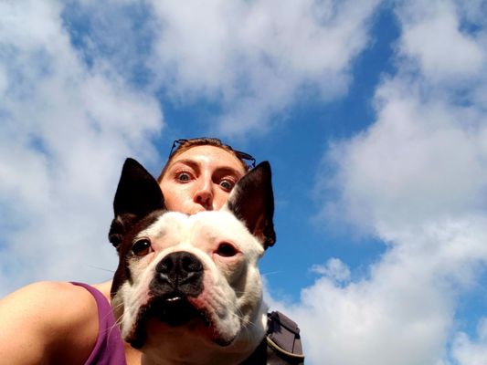 Ruffner Mountain by null