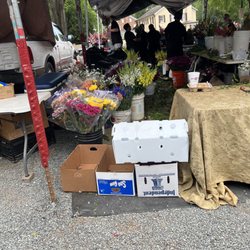 Kings Drive Farmers Market - Flower vendor