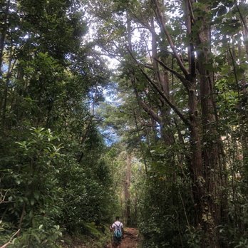 Pu'u Pia Trail - Hike continued - Hiking Near Me - Honolulu, Hawaii