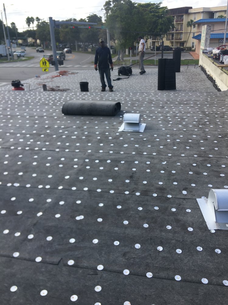 Slide of Tree Of The World Roofing