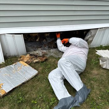 Dry Source Property Restoration - Damage Restoration Near Me - Deerfield, Wisconsin Dry Source Property Restoration - Damage Restoration Near Me - Deerfield, Wisconsin