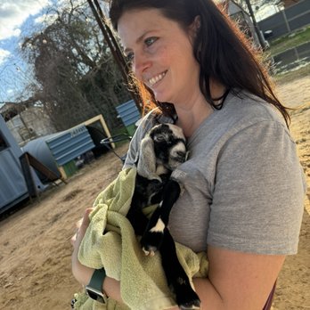 Blue Heron Farm - Baby goats! - Farmers Market Near Me - Waller, Texas Blue Heron Farm - Baby goats! - Farmers Market Near Me - Waller, Texas
