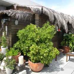 Blau Mari - Un lateral pequeño de la terraza, todo el inmobiliario está decorado con maderas, telones, plantas y una gran iluminación.
