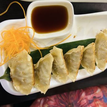 Akaya Grill & Sushi - Gyoza - Japanese Near Me - Orange Park, Florida