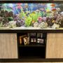 Photo of So Cal Aquatic Life Service