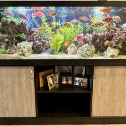 So Cal Aquatic Life Service
