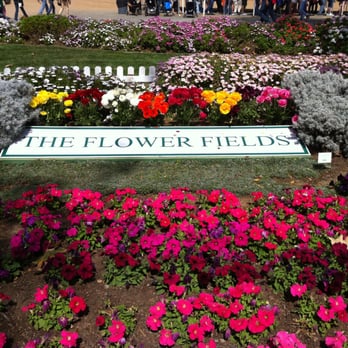 The Flower Fields - Venues & Event Spaces Near Me - Carlsbad, California