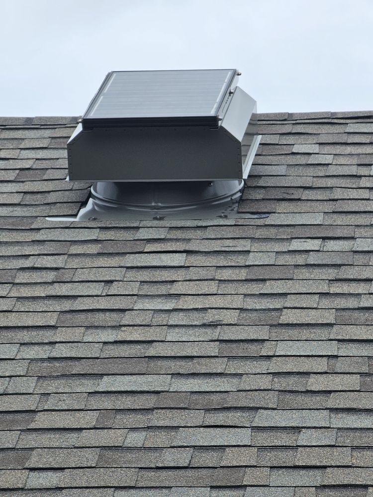 Slide of Roofs by Jeff