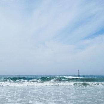 Venice Statepark - Beaches Near Me - Venice, California Venice Statepark - Beaches Near Me - Venice, California