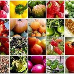 Get Fresh & Fruity - Get Fresh and Fruity Retail and wholesale fruit and veg supplier