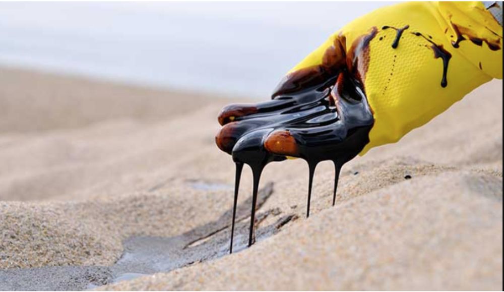 CG ENVIRONMENTAL AN ENVIROSERVE COMPANY Updated August 2024 11595 S