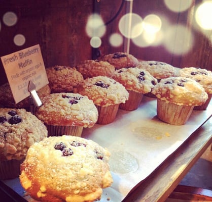 Baker & Spice by null