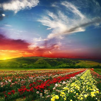 One Light of Love - OJAI, CA - Supernatural Readings Near Me - Oxnard, California One Light of Love - OJAI, CA - Supernatural Readings Near Me - Oxnard, California